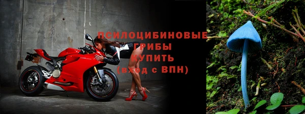 тгк Протвино