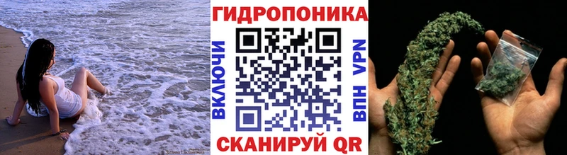 Бошки марихуана OG Kush  Купить закладки  Благовещенск 